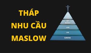 Tháp nhu cầu Maslow 8 tầng là gì? Phân tích chi tiết và cách ứng dụng thực tế trong marketing 