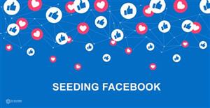 SEEDING FACEBOOK – HIỆU ỨNG ĐÁM ĐÔNG ĐI TRƯỚC THỜI ĐẠI