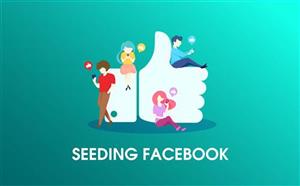 Chiến lược Seeding Facebook hiệu quả mà marketer chuyên nghiệp đang áp dụng
