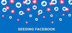 Cách Seeding Facebook Mới, Hiệu Quả Nhất Không Phải Ai Cũng Biết