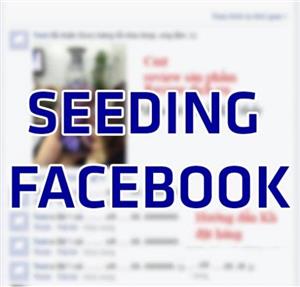 Những điều cần biết giúp Seeding Facebook hiệu quả trong cuối năm 2017