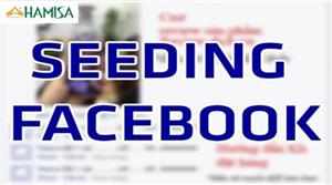 Facebook seeding là gì? Làm sao để hiệu quả