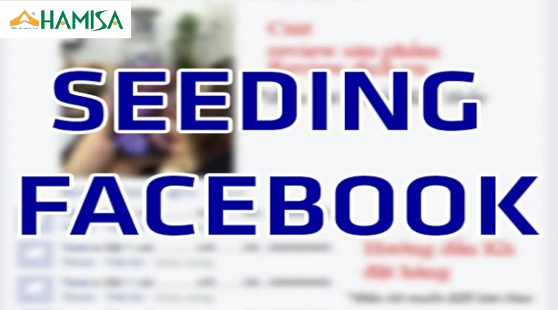 facebook seeding là gi